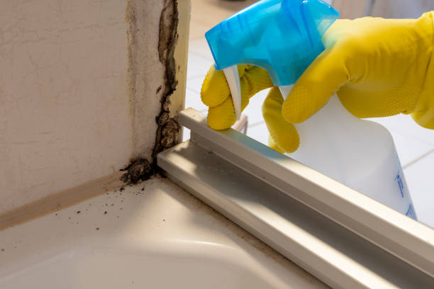 Best Crawl Space Mold Removal  in Helmetta, NJ